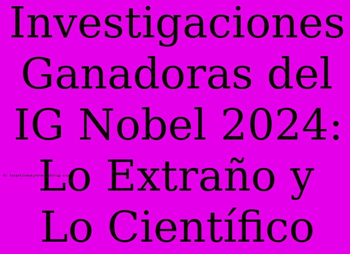 Investigaciones Ganadoras Del IG Nobel 2024: Lo Extraño Y Lo Científico