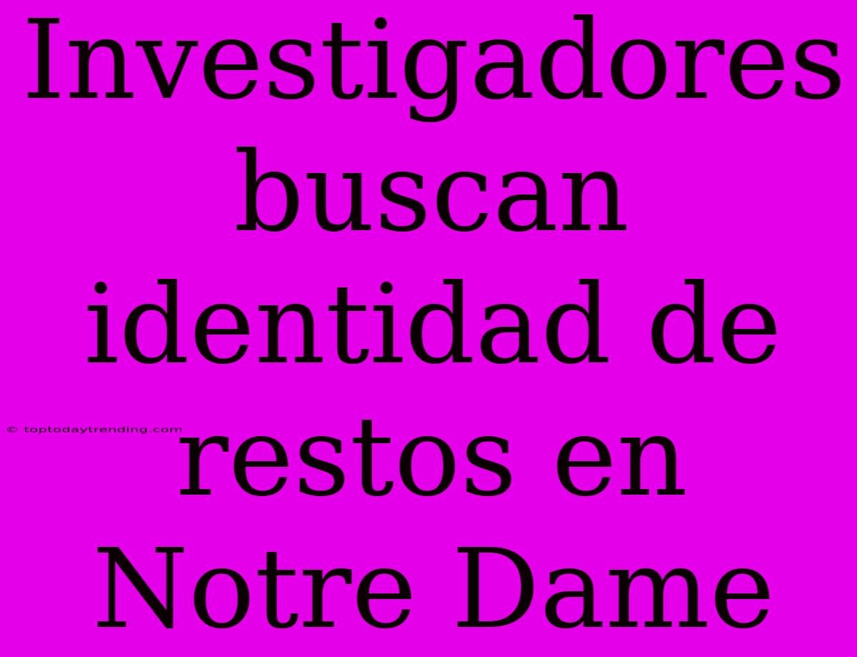 Investigadores Buscan Identidad De Restos En Notre Dame