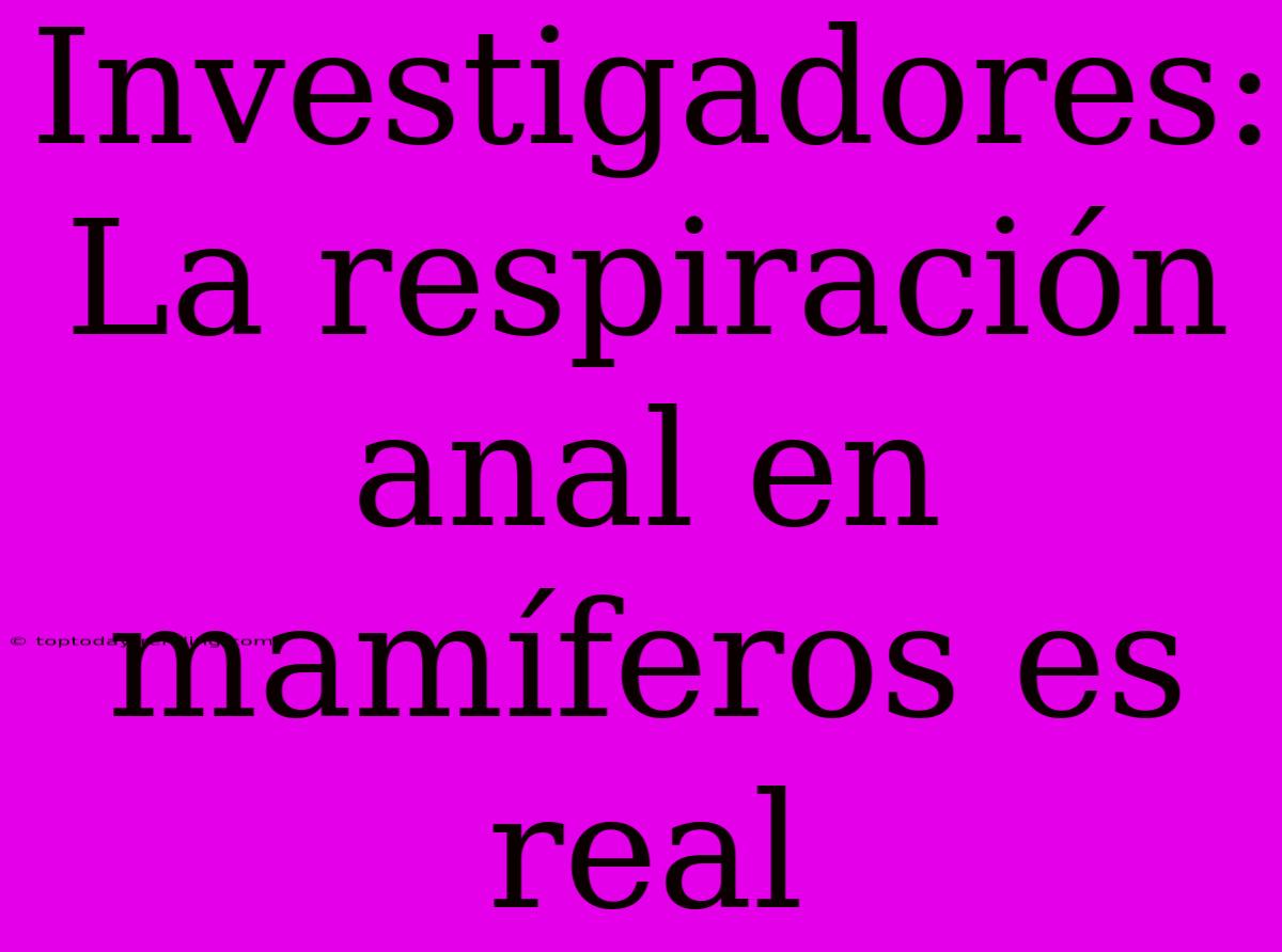 Investigadores: La Respiración Anal En Mamíferos Es Real