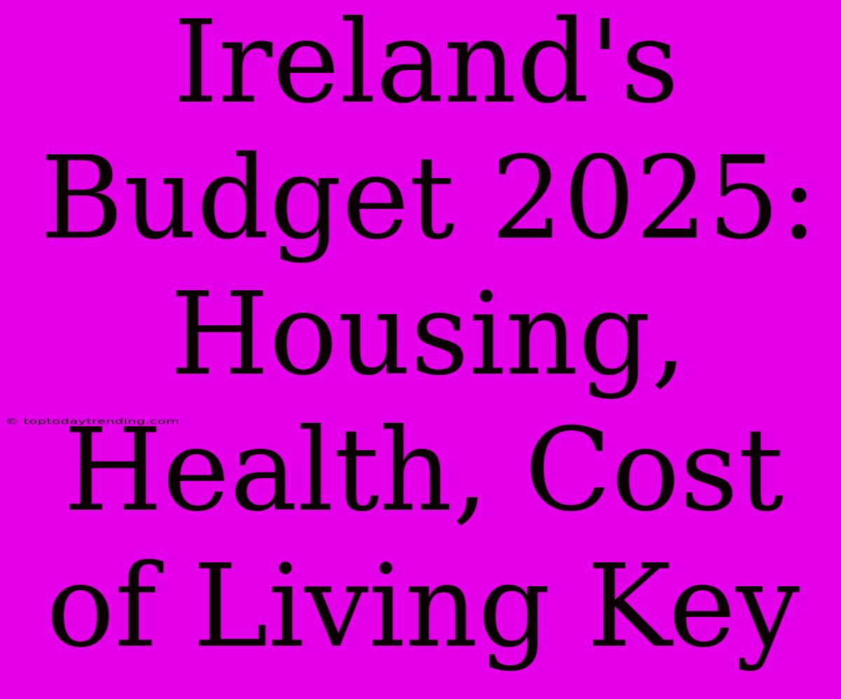 Ireland's Budget 2025: Housing, Health, Cost Of Living Key