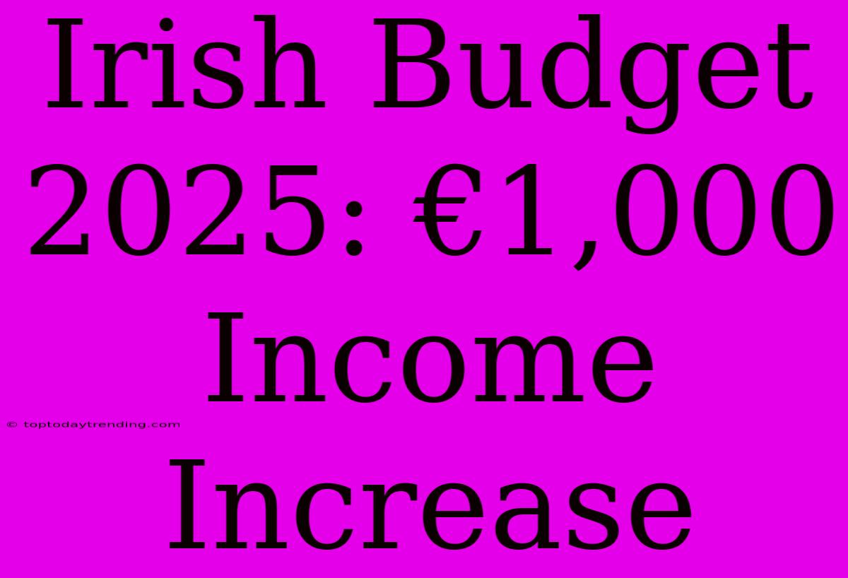 Irish Budget 2025: €1,000 Income Increase