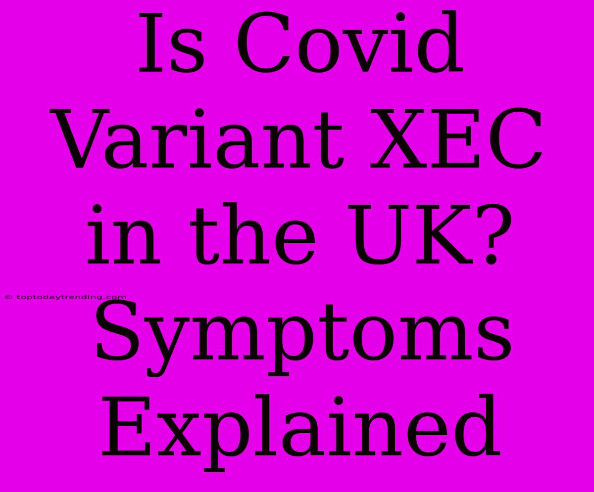 Is Covid Variant XEC In The UK? Symptoms Explained