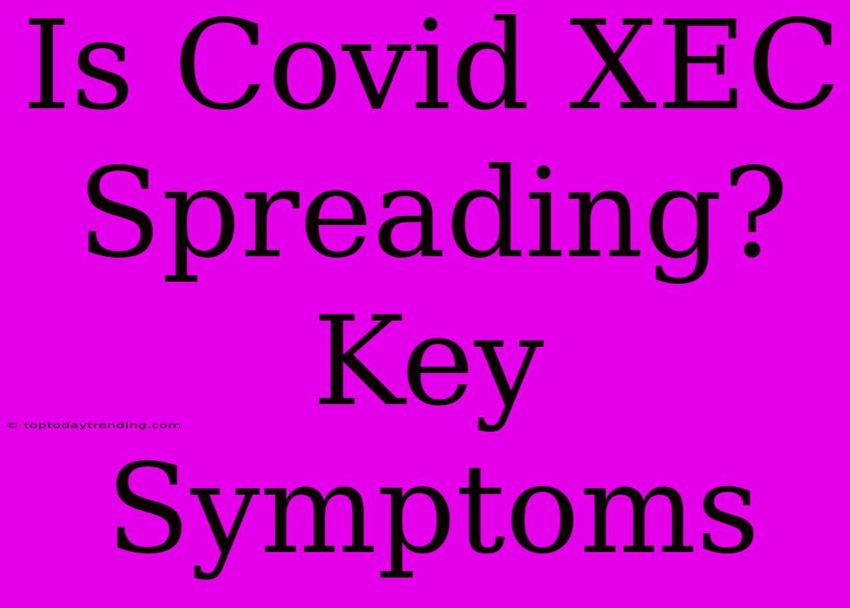 Is Covid XEC Spreading? Key Symptoms