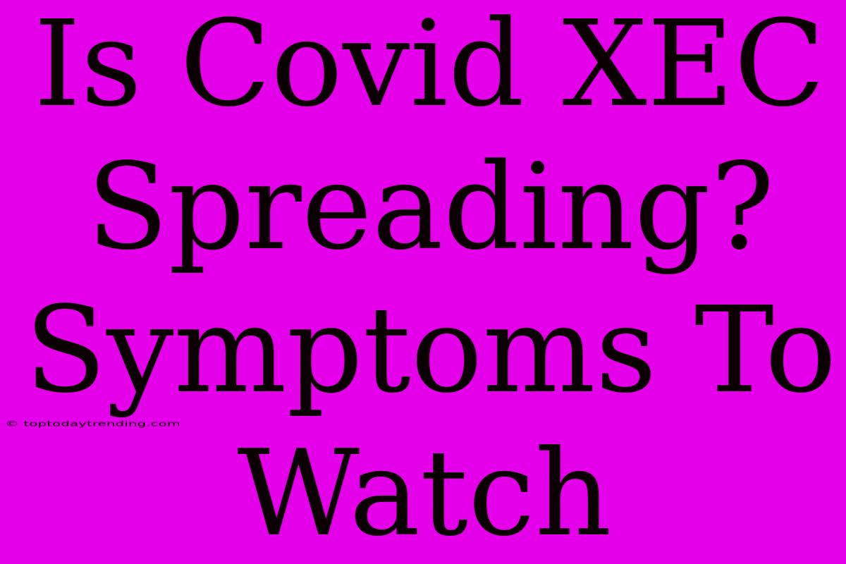 Is Covid XEC Spreading? Symptoms To Watch