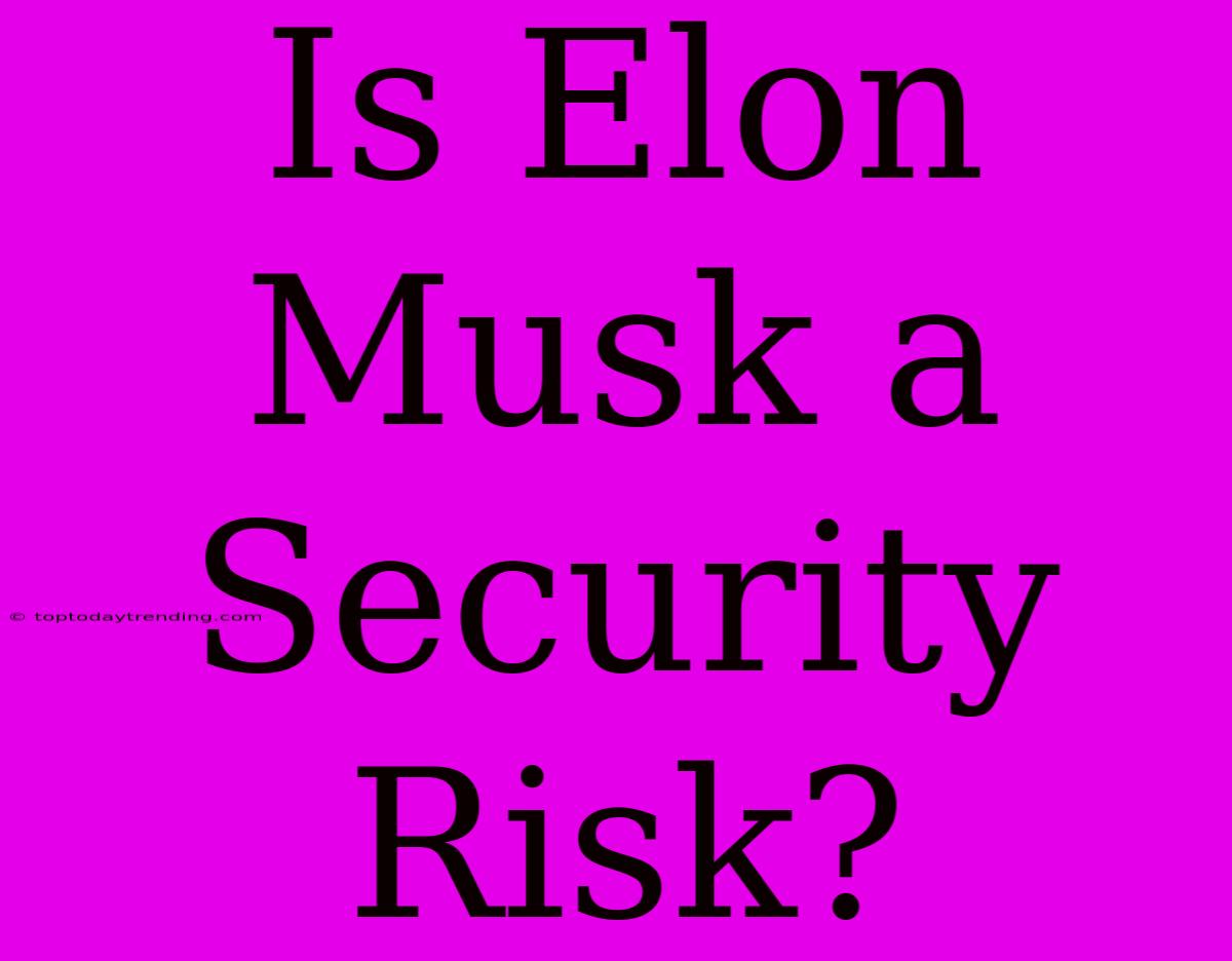 Is Elon Musk A Security Risk?