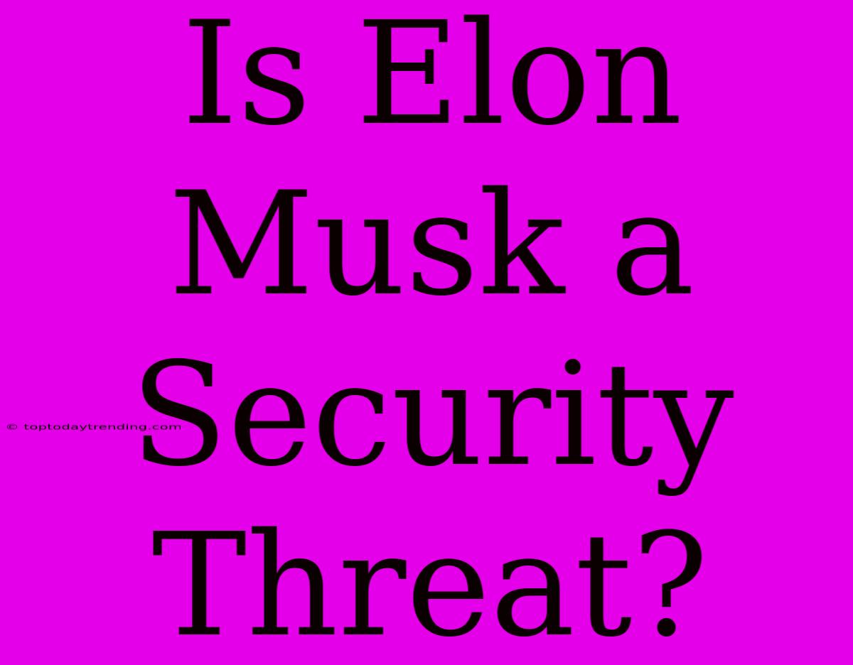 Is Elon Musk A Security Threat?