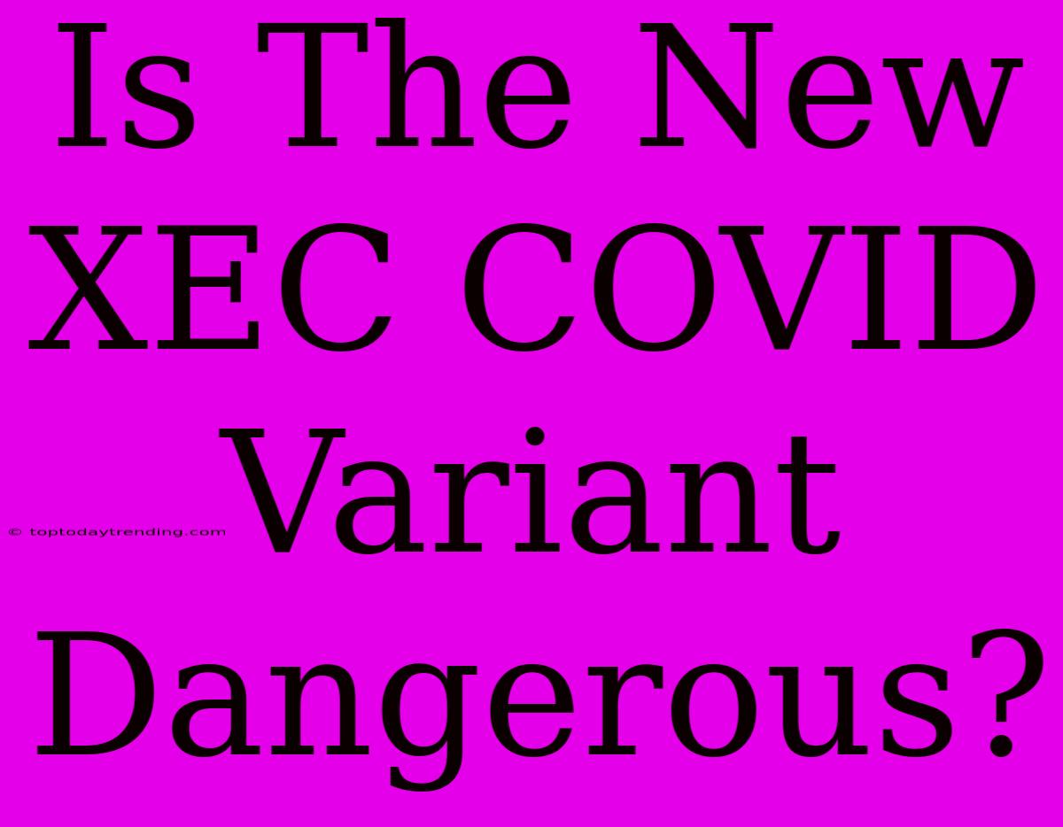 Is The New XEC COVID Variant Dangerous?