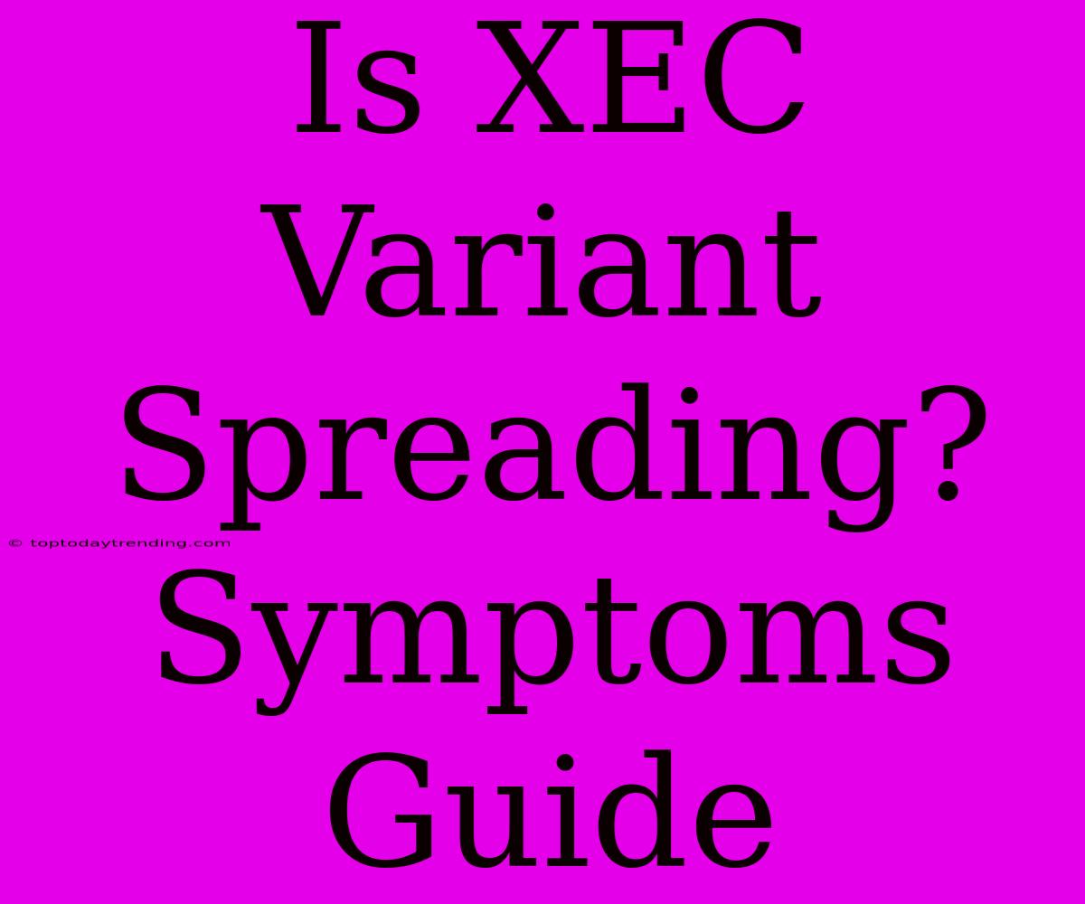 Is XEC Variant Spreading? Symptoms Guide