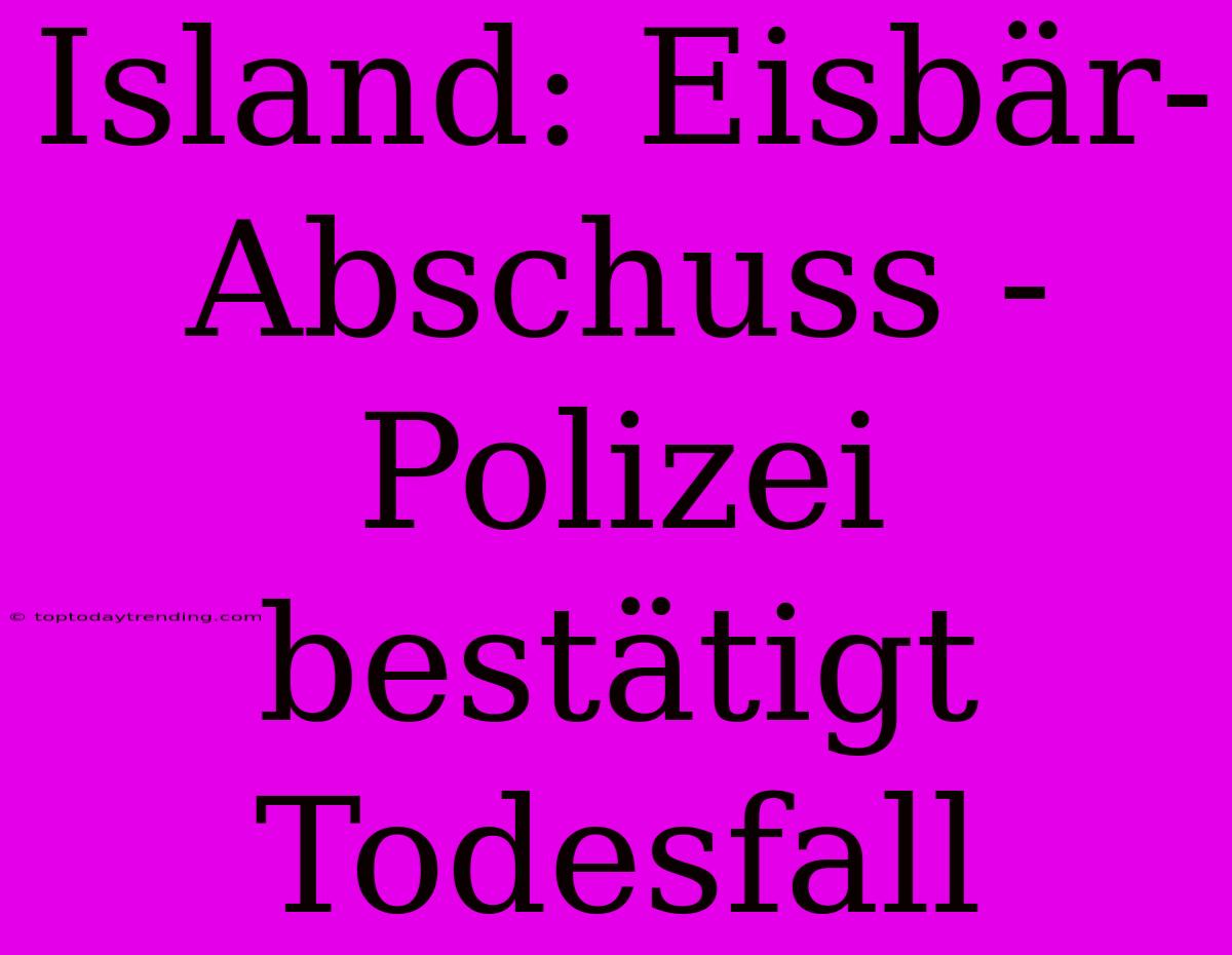 Island: Eisbär-Abschuss - Polizei Bestätigt Todesfall