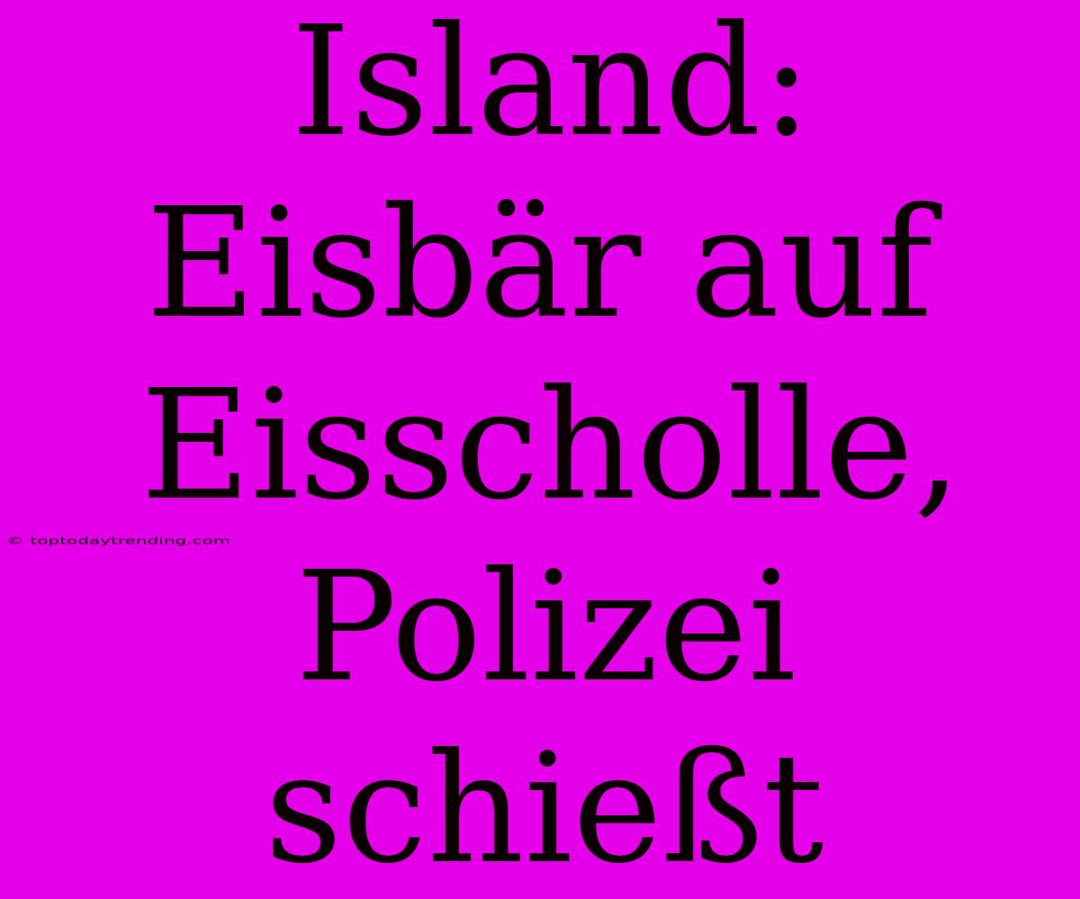 Island: Eisbär Auf Eisscholle, Polizei Schießt