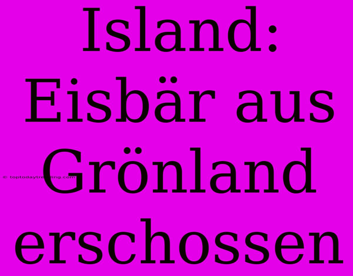 Island: Eisbär Aus Grönland Erschossen