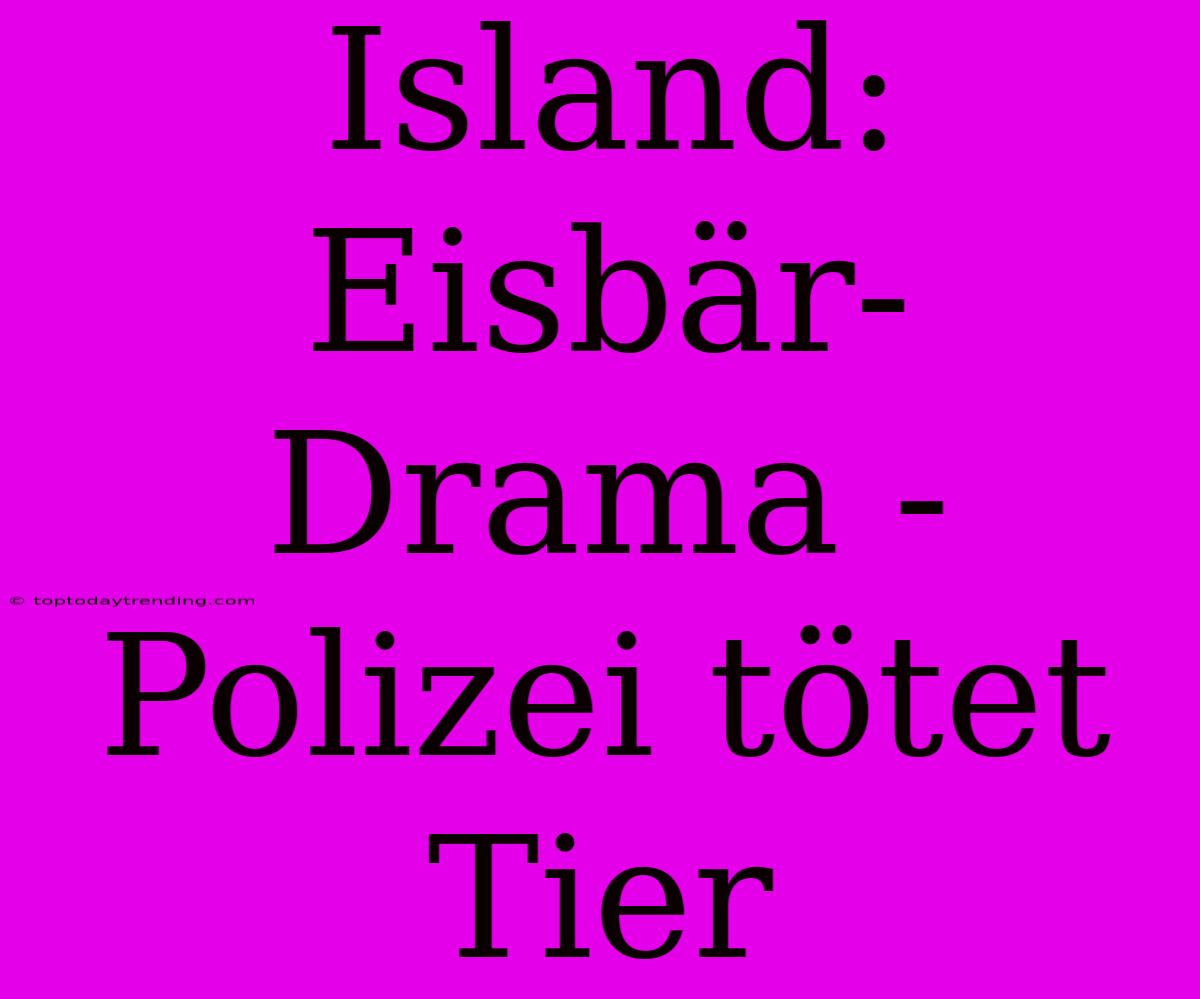 Island: Eisbär-Drama - Polizei Tötet Tier