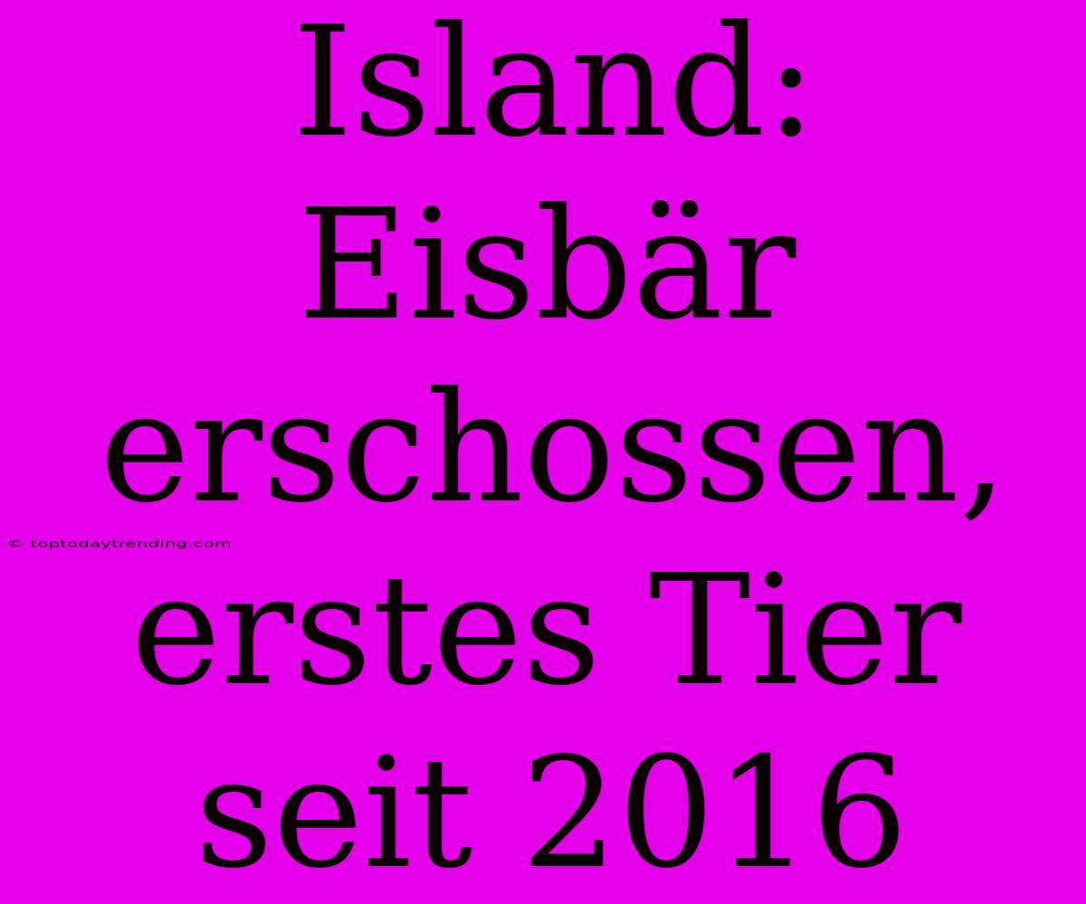 Island: Eisbär Erschossen, Erstes Tier Seit 2016