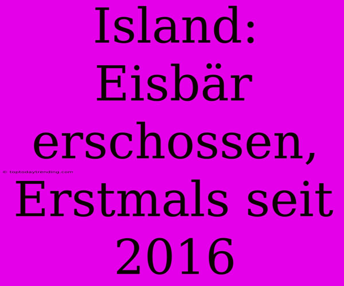 Island: Eisbär Erschossen, Erstmals Seit 2016