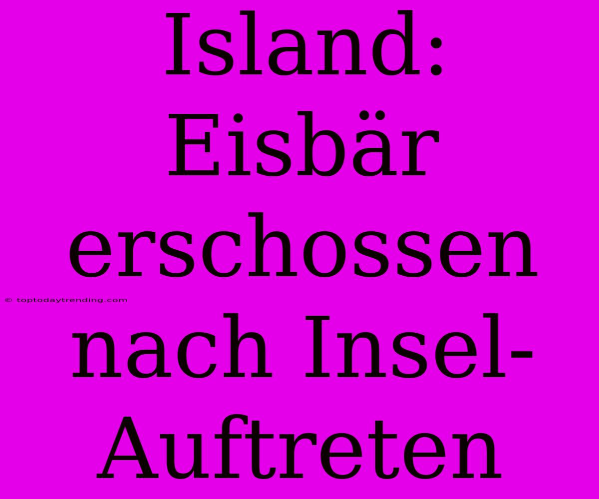 Island: Eisbär Erschossen Nach Insel-Auftreten