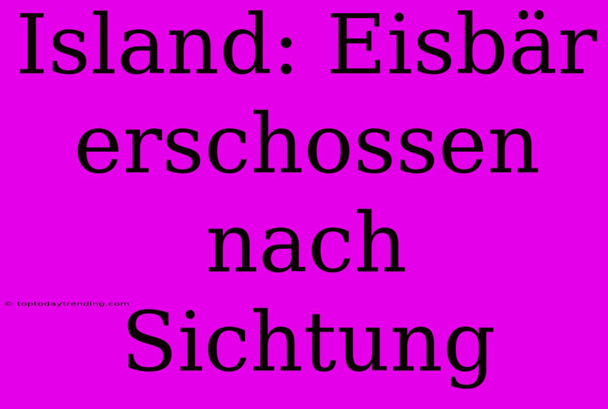 Island: Eisbär Erschossen Nach Sichtung