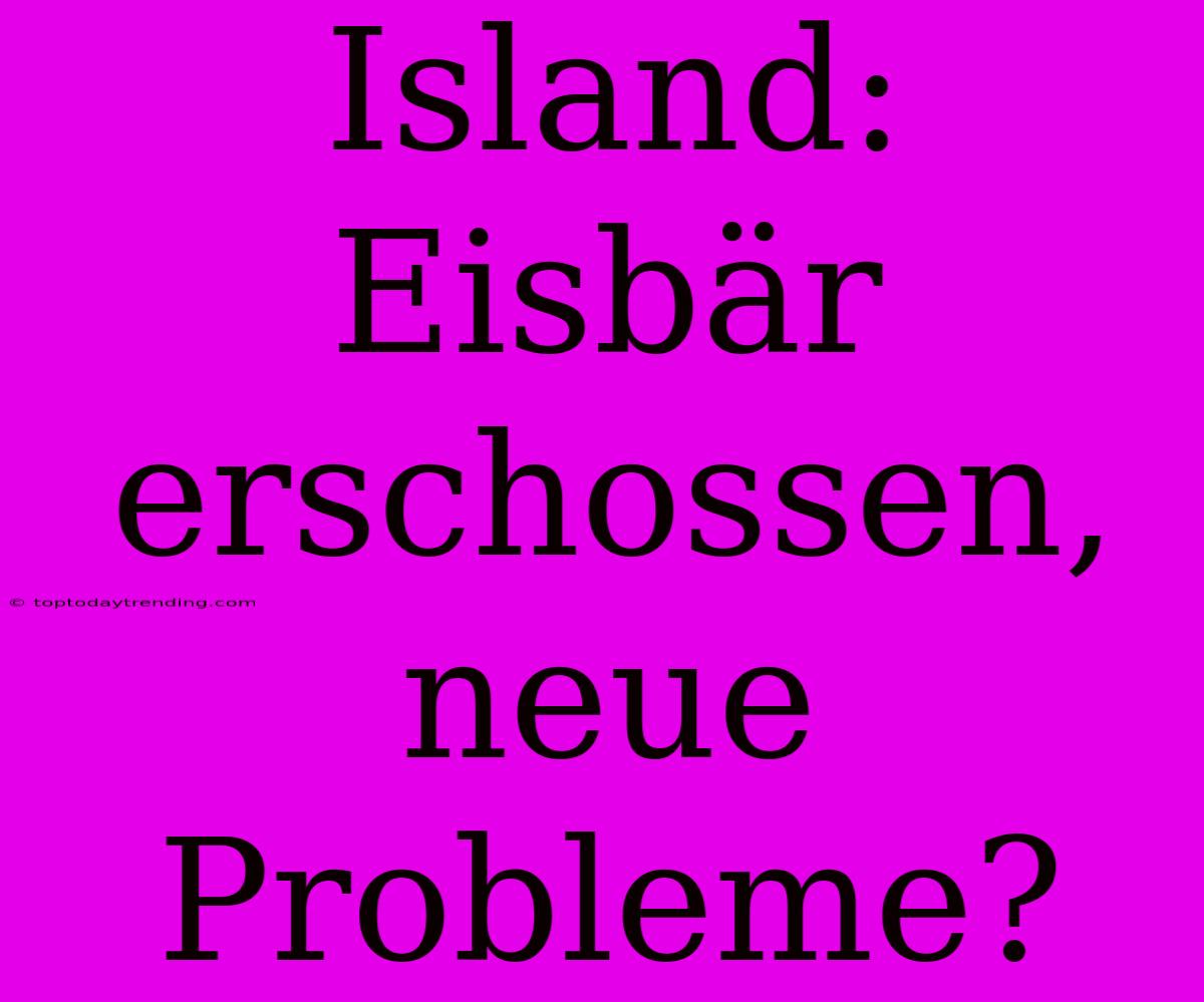 Island: Eisbär Erschossen, Neue Probleme?