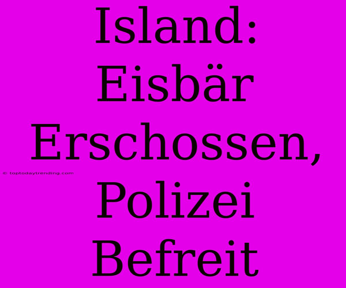 Island: Eisbär Erschossen, Polizei Befreit