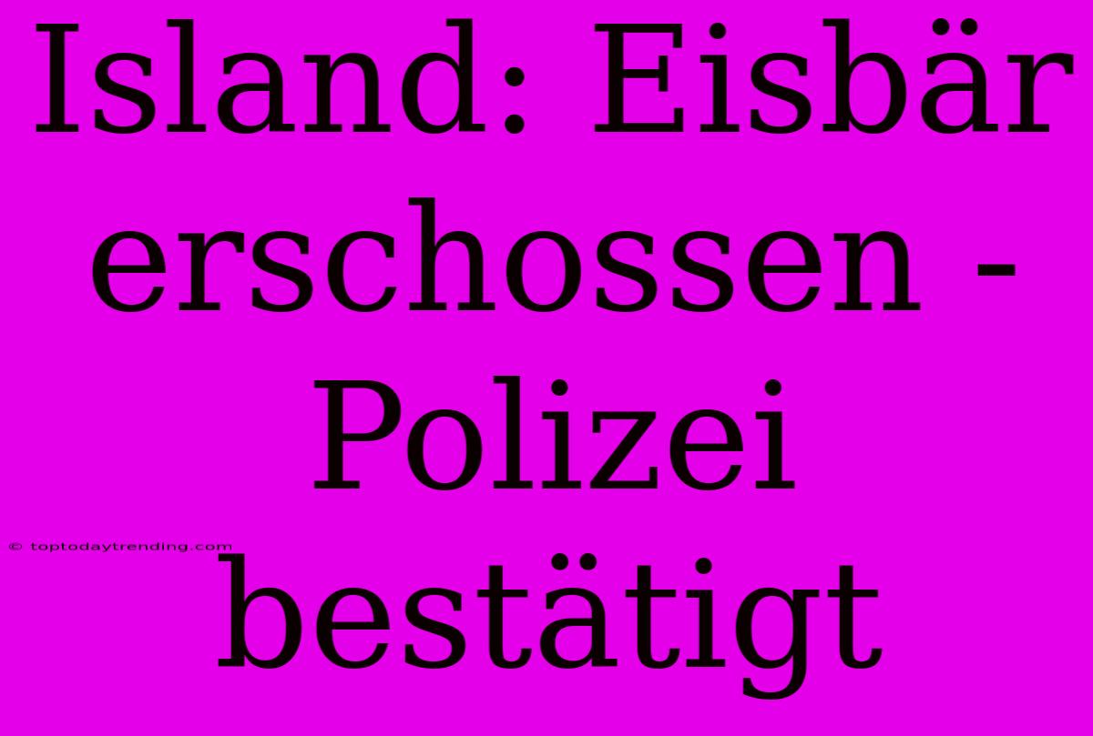 Island: Eisbär Erschossen - Polizei Bestätigt