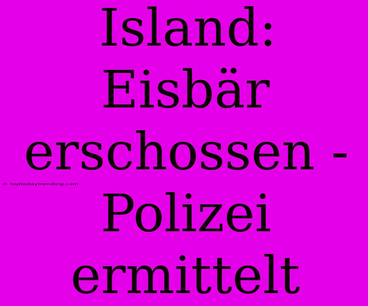 Island: Eisbär Erschossen - Polizei Ermittelt