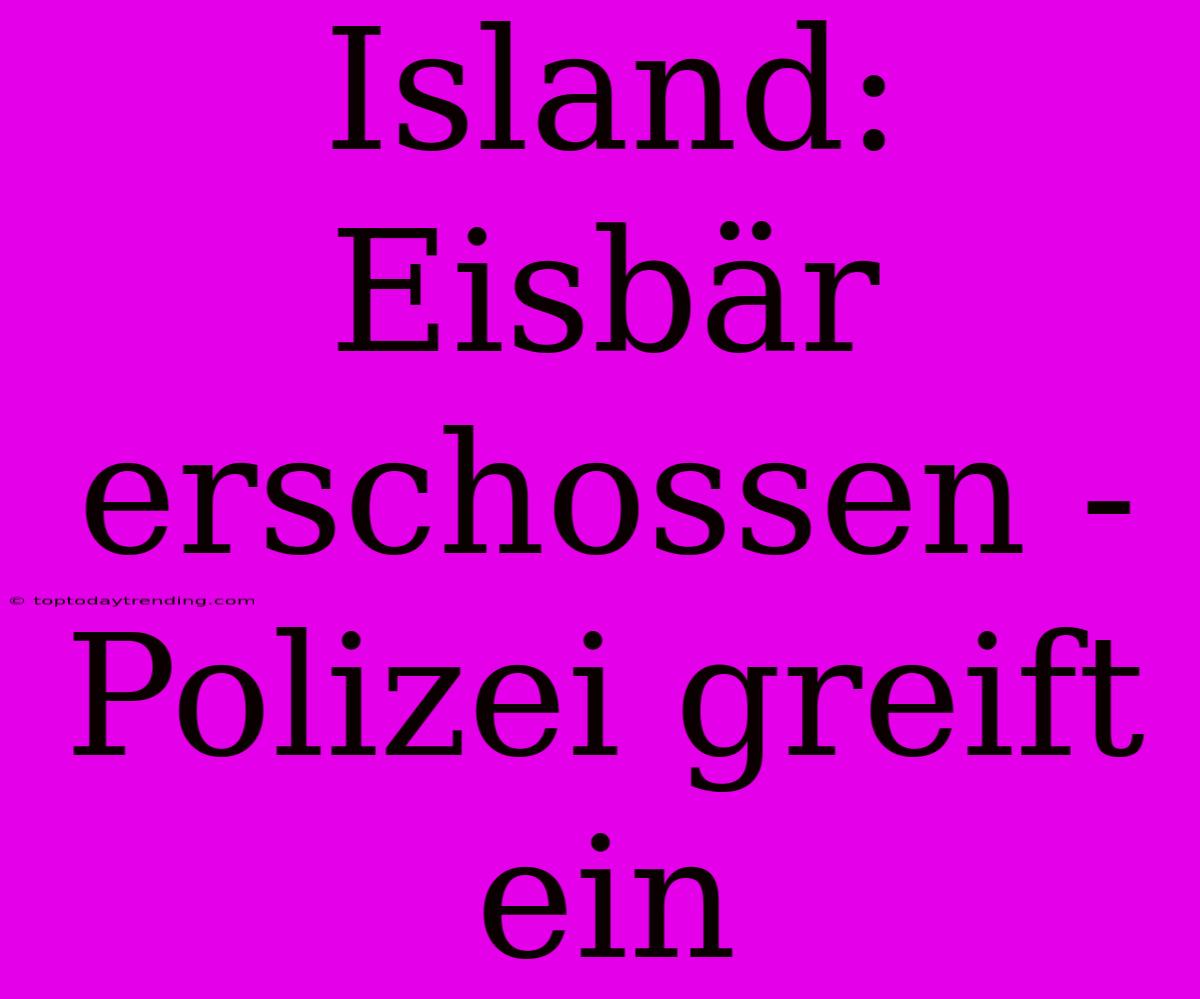 Island: Eisbär Erschossen - Polizei Greift Ein