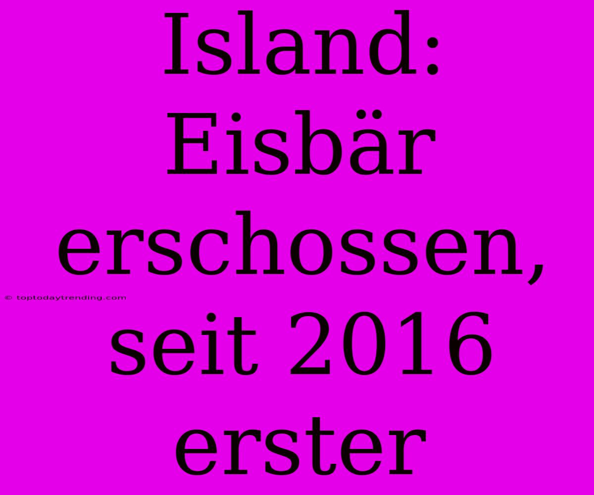 Island: Eisbär Erschossen, Seit 2016 Erster