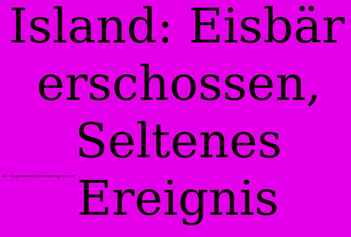 Island: Eisbär Erschossen, Seltenes Ereignis