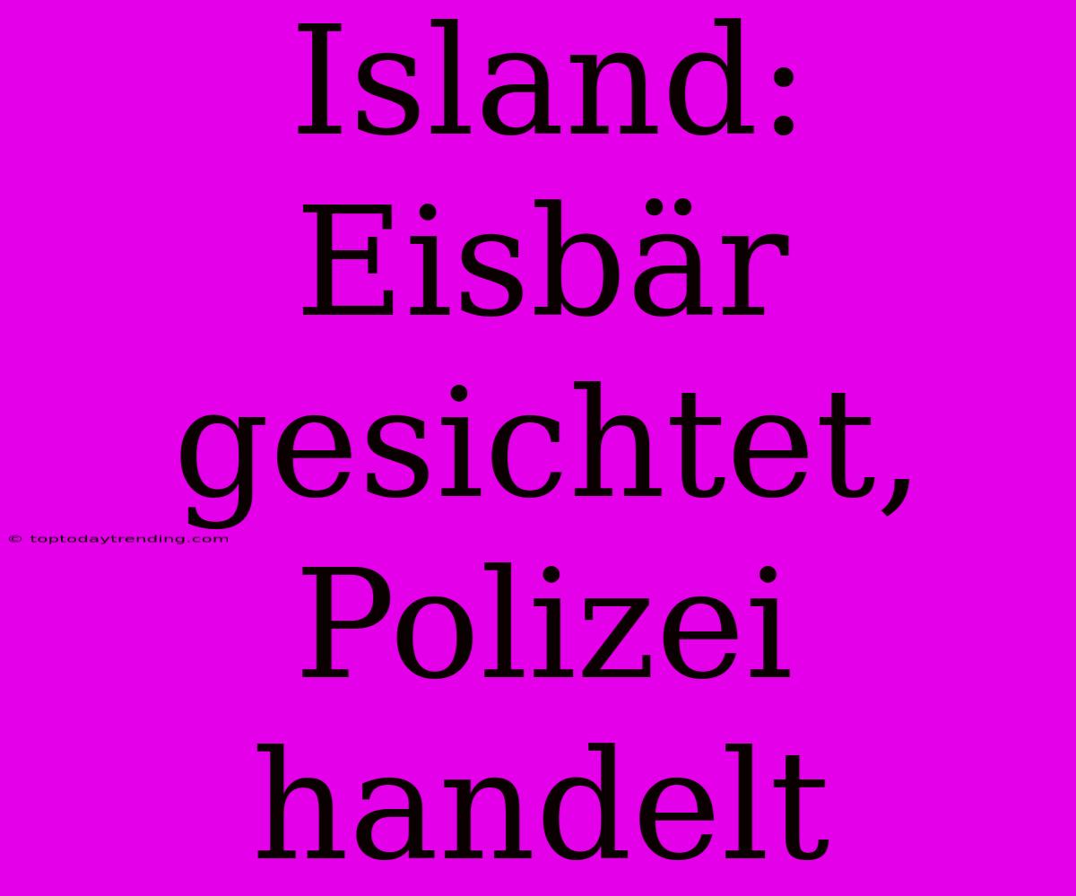 Island: Eisbär Gesichtet, Polizei Handelt