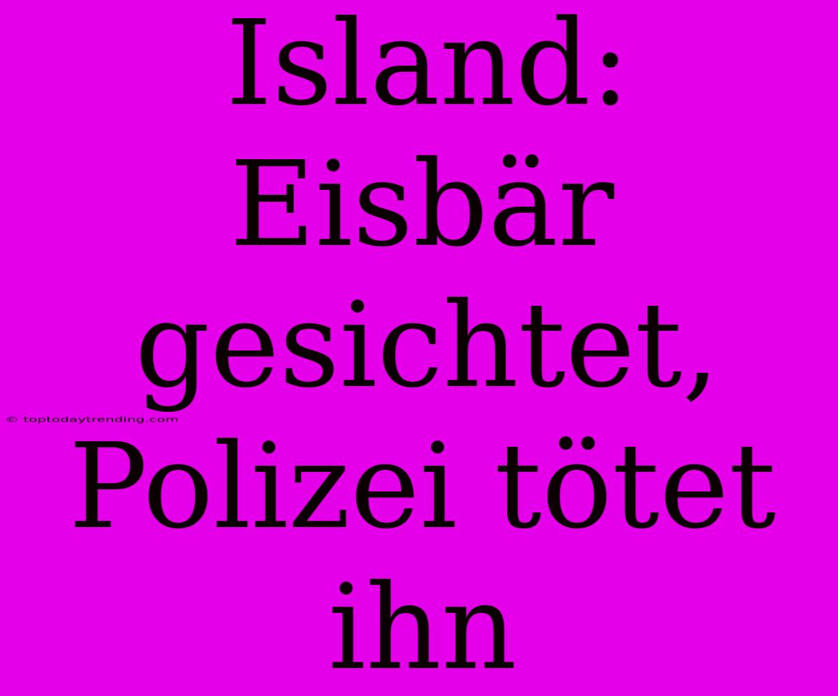 Island: Eisbär Gesichtet, Polizei Tötet Ihn