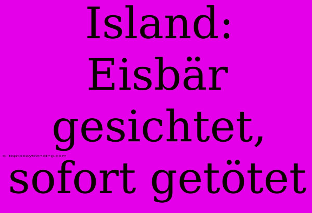 Island: Eisbär Gesichtet, Sofort Getötet