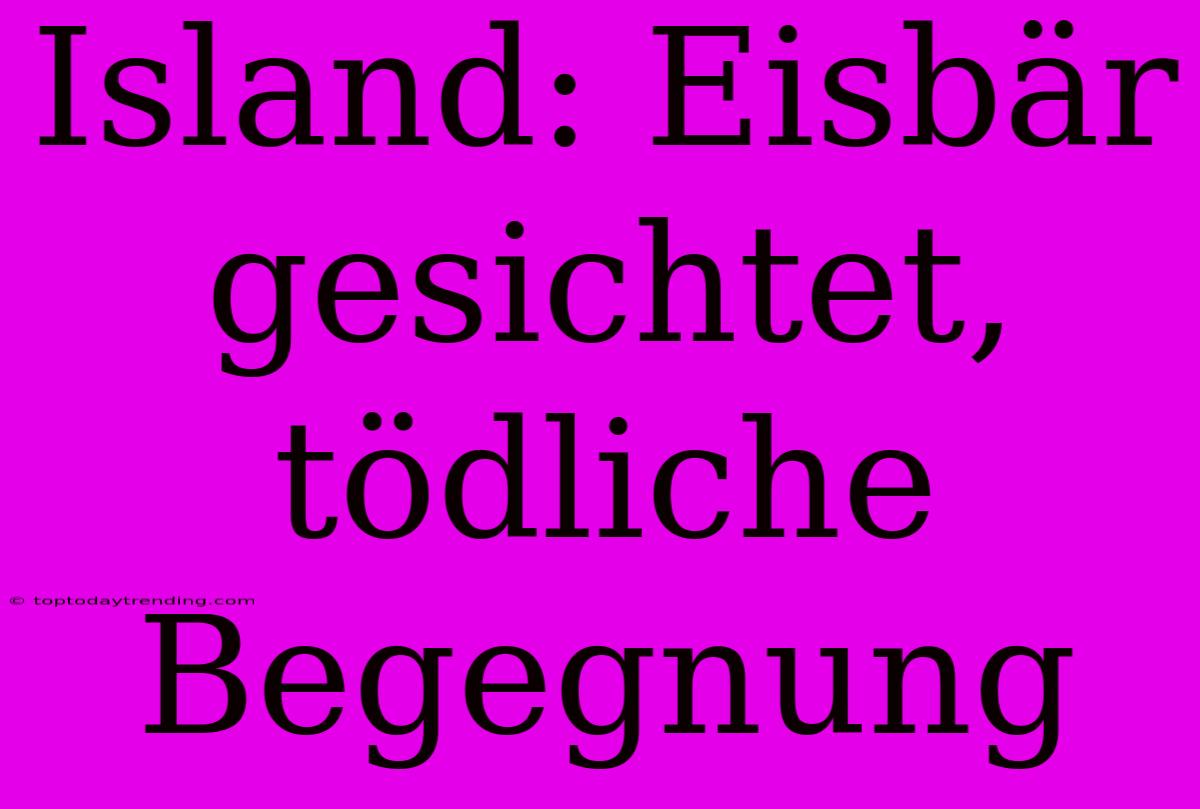 Island: Eisbär Gesichtet, Tödliche Begegnung