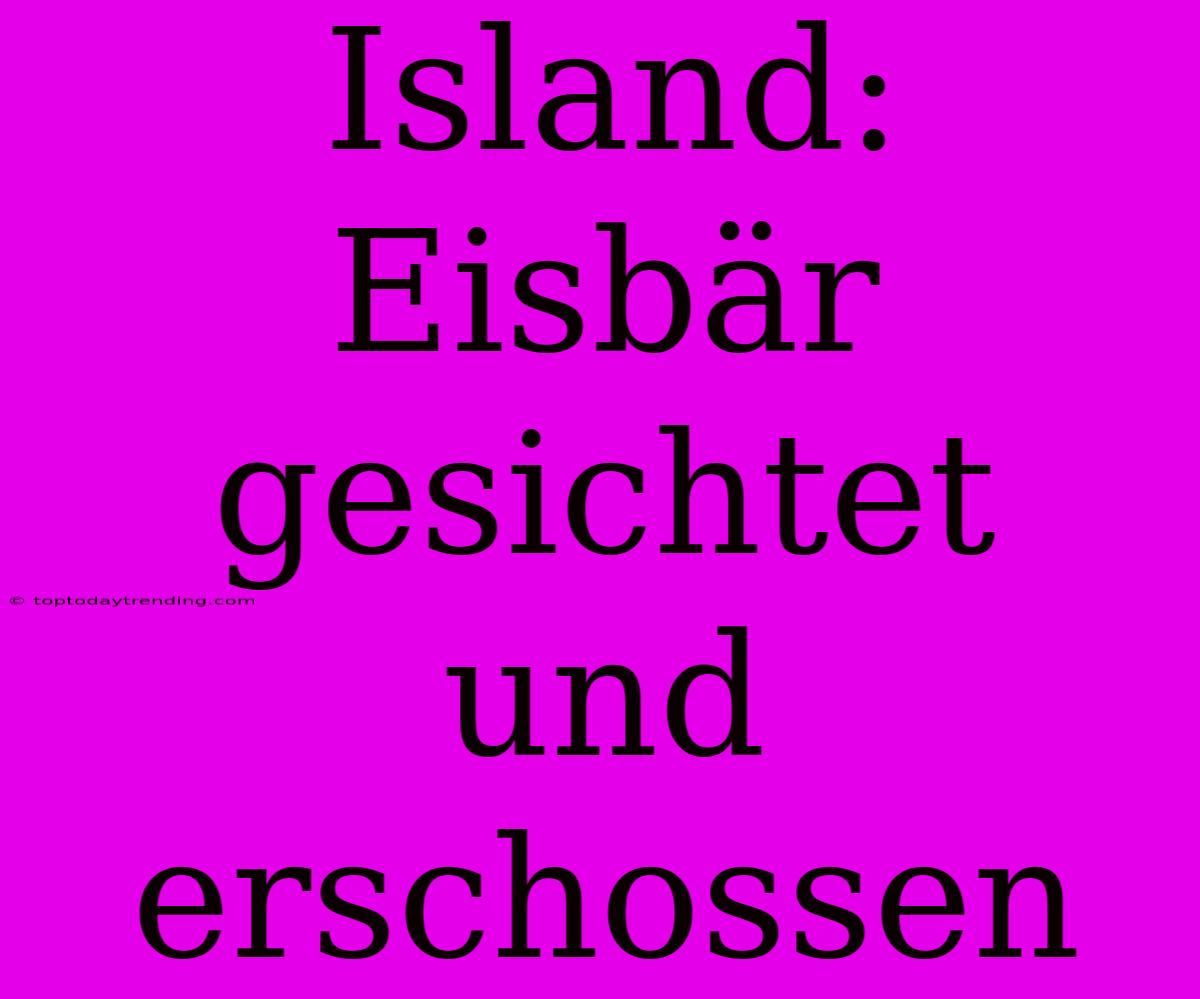 Island: Eisbär Gesichtet Und Erschossen