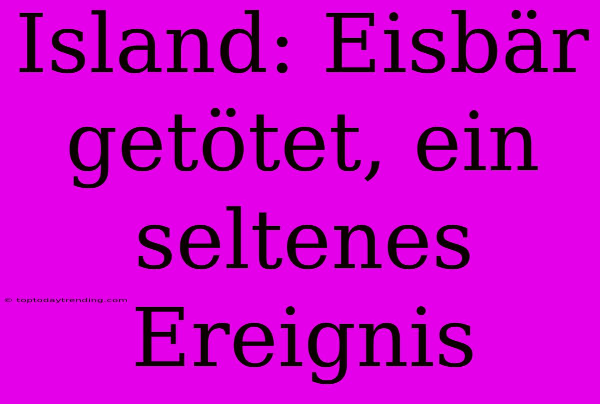 Island: Eisbär Getötet, Ein Seltenes Ereignis