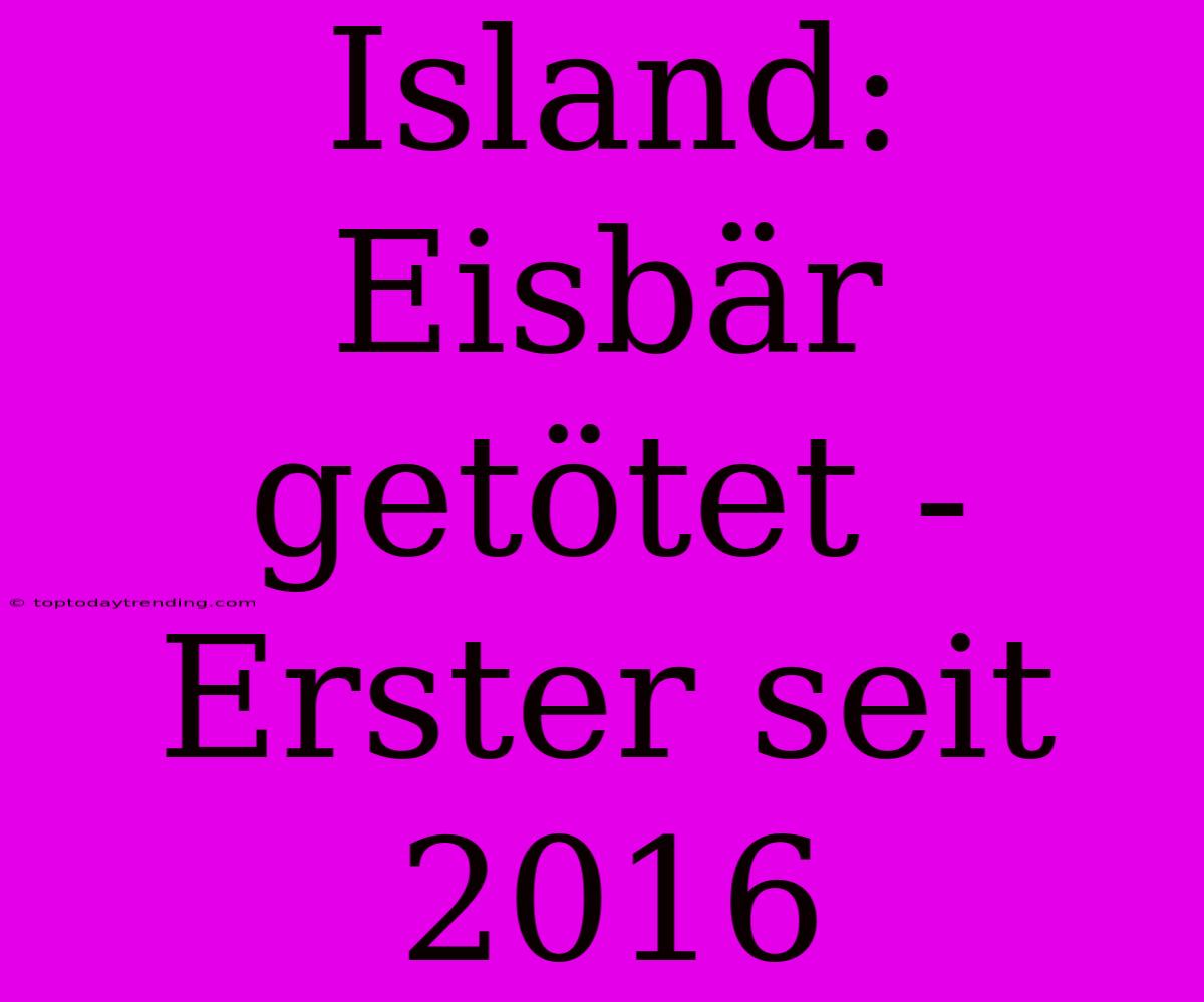 Island: Eisbär Getötet - Erster Seit 2016