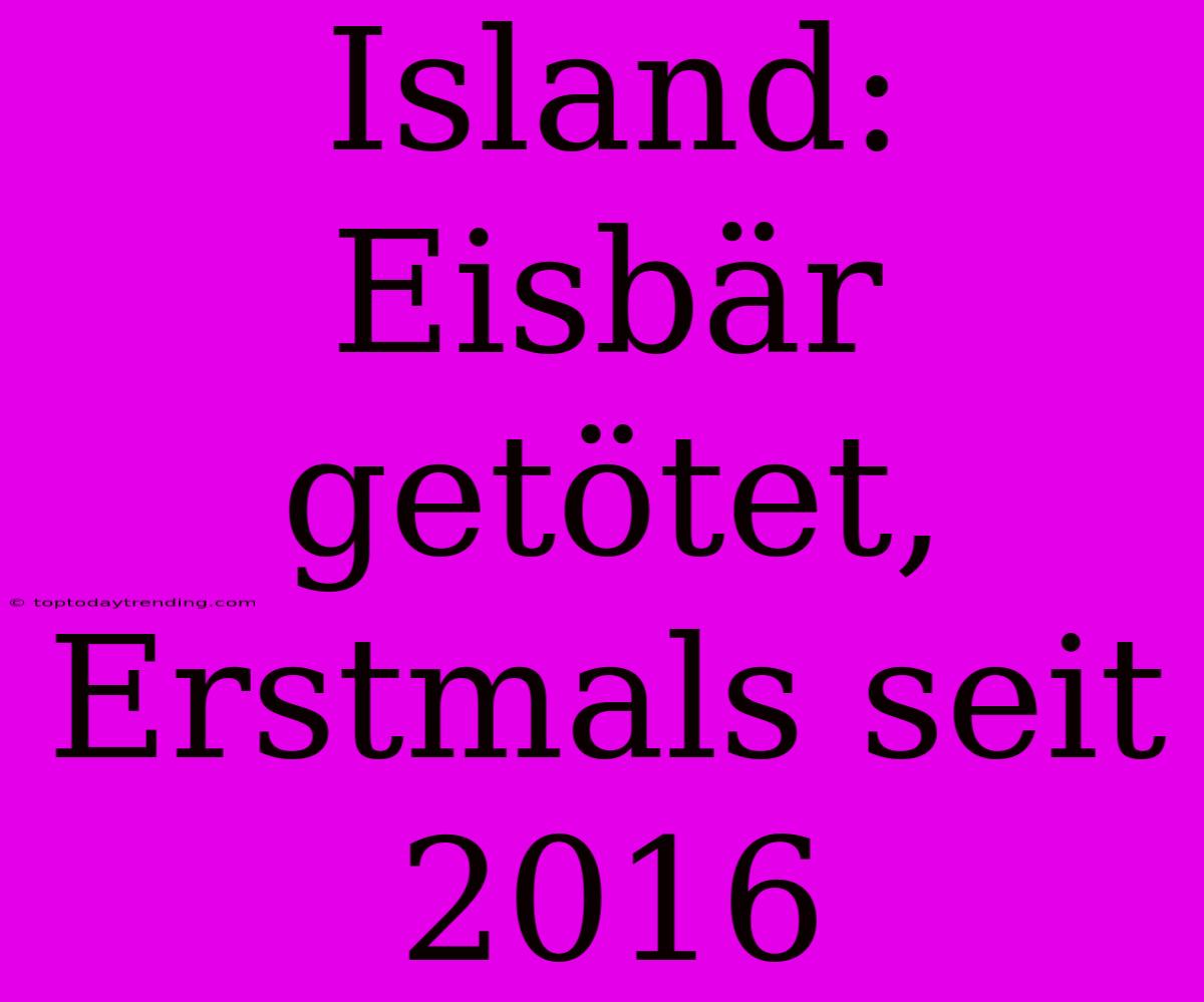 Island: Eisbär Getötet, Erstmals Seit 2016