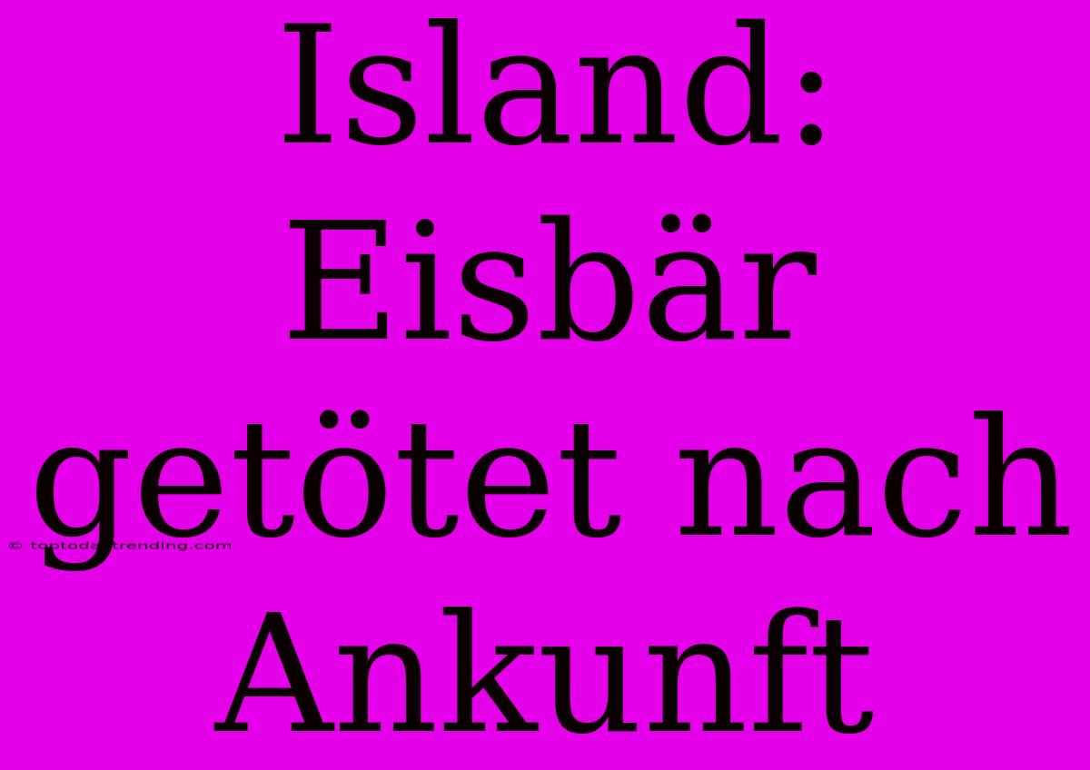 Island: Eisbär Getötet Nach Ankunft