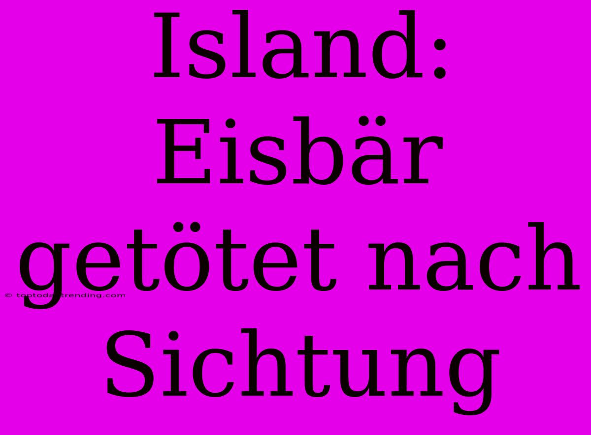 Island: Eisbär Getötet Nach Sichtung