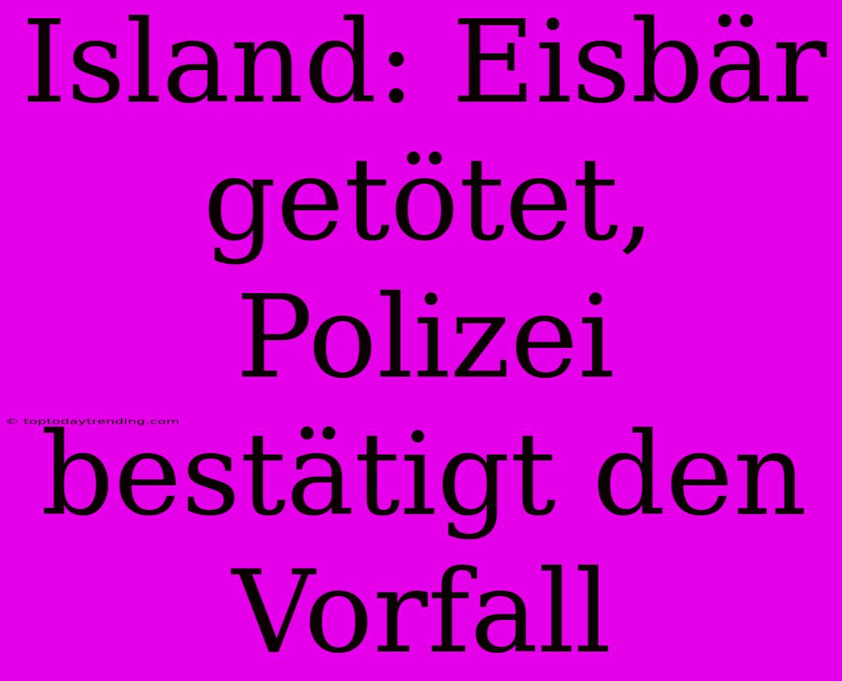 Island: Eisbär Getötet, Polizei Bestätigt Den Vorfall