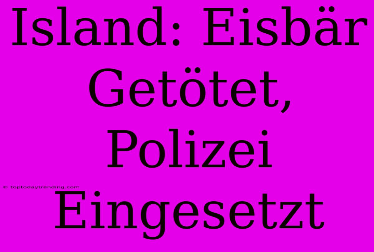 Island: Eisbär Getötet, Polizei Eingesetzt