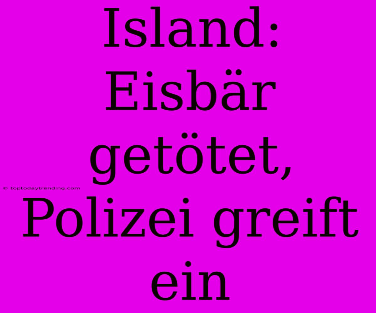 Island: Eisbär Getötet, Polizei Greift Ein