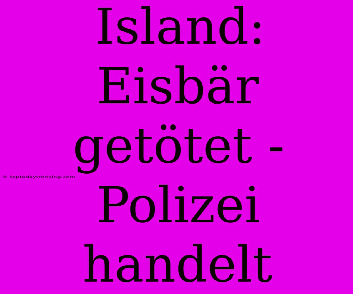 Island: Eisbär Getötet - Polizei Handelt