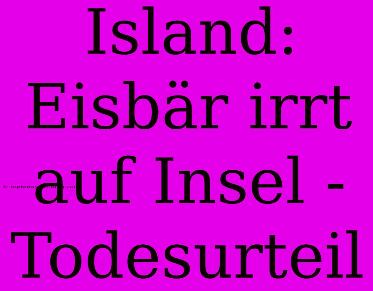 Island: Eisbär Irrt Auf Insel - Todesurteil