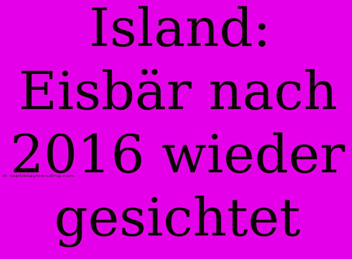 Island: Eisbär Nach 2016 Wieder Gesichtet