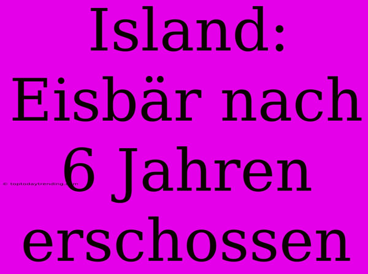 Island: Eisbär Nach 6 Jahren Erschossen