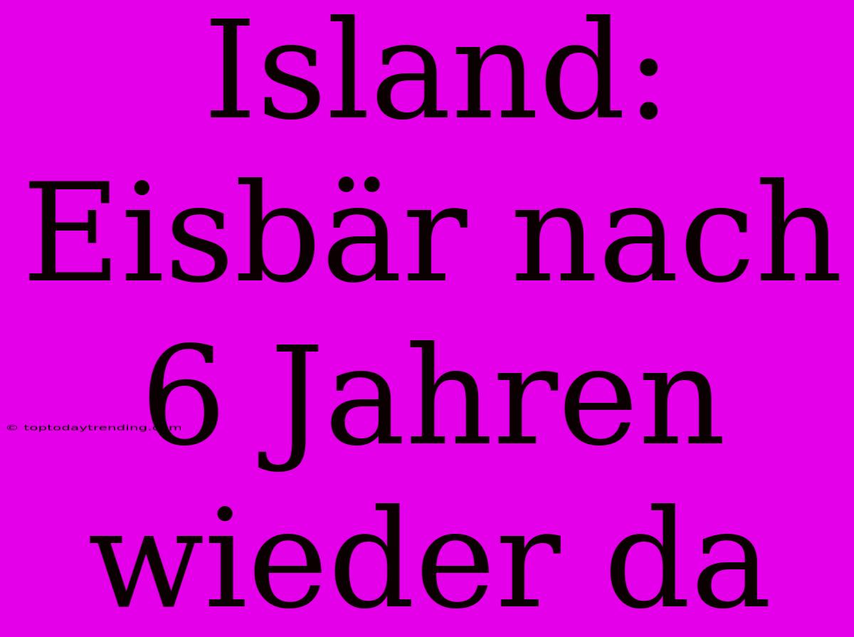 Island: Eisbär Nach 6 Jahren Wieder Da