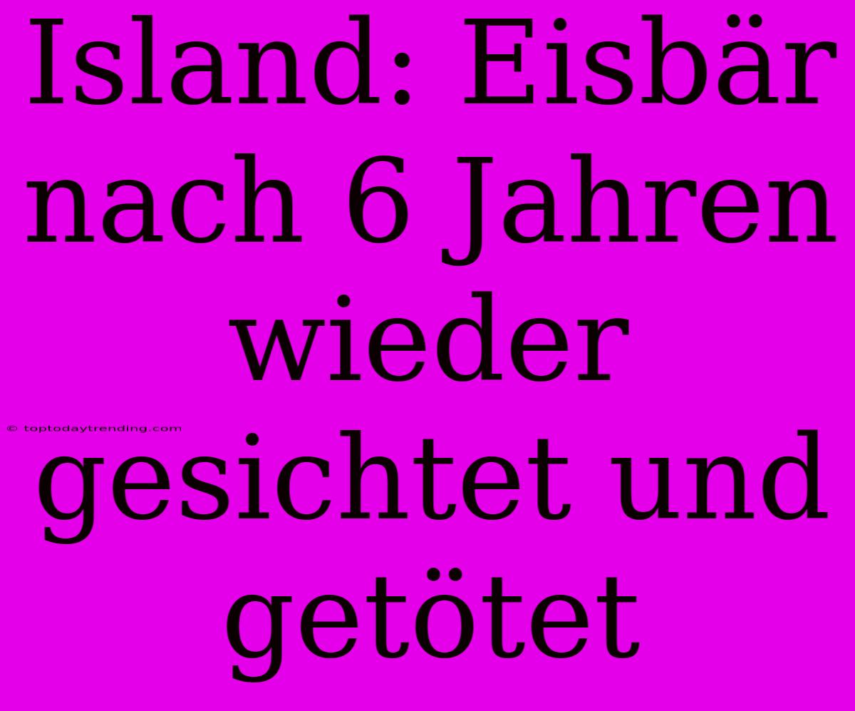 Island: Eisbär Nach 6 Jahren Wieder Gesichtet Und Getötet