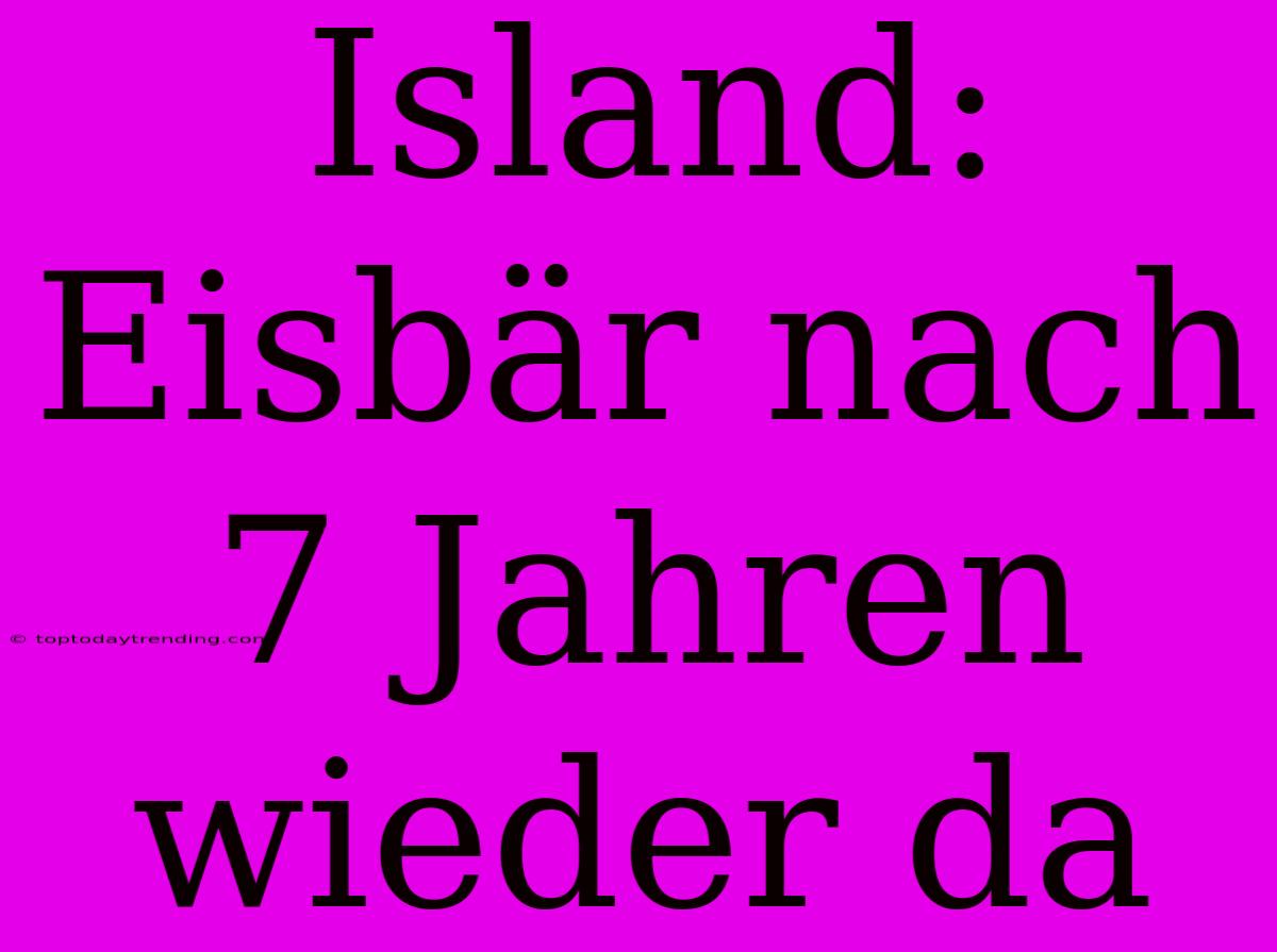 Island: Eisbär Nach 7 Jahren Wieder Da