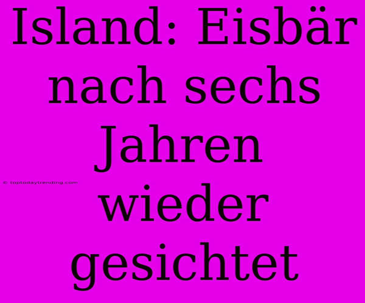 Island: Eisbär Nach Sechs Jahren Wieder Gesichtet