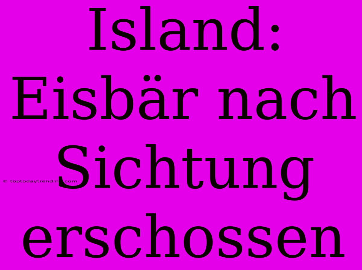 Island: Eisbär Nach Sichtung Erschossen