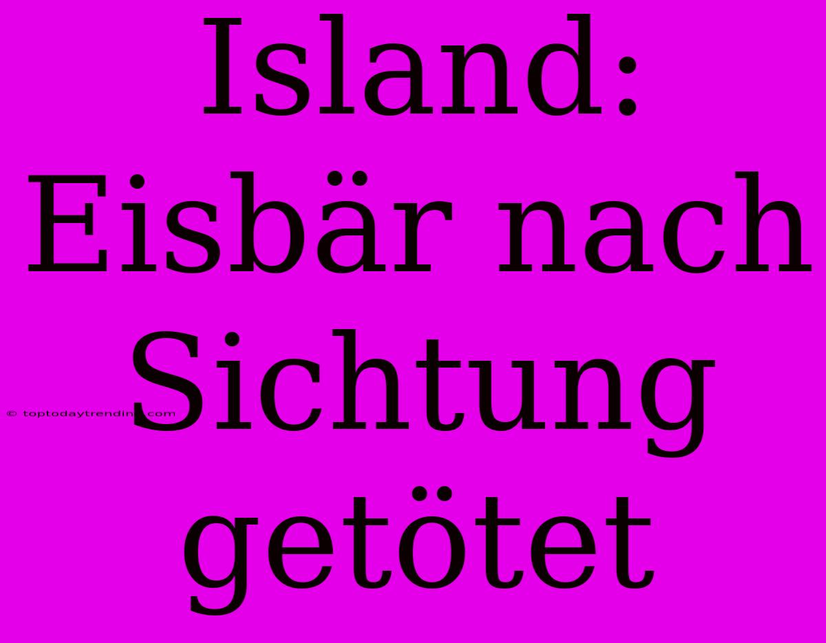 Island: Eisbär Nach Sichtung Getötet